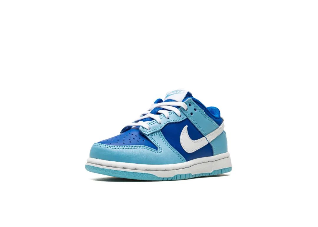 Nike Dunk Low Argon (PS)